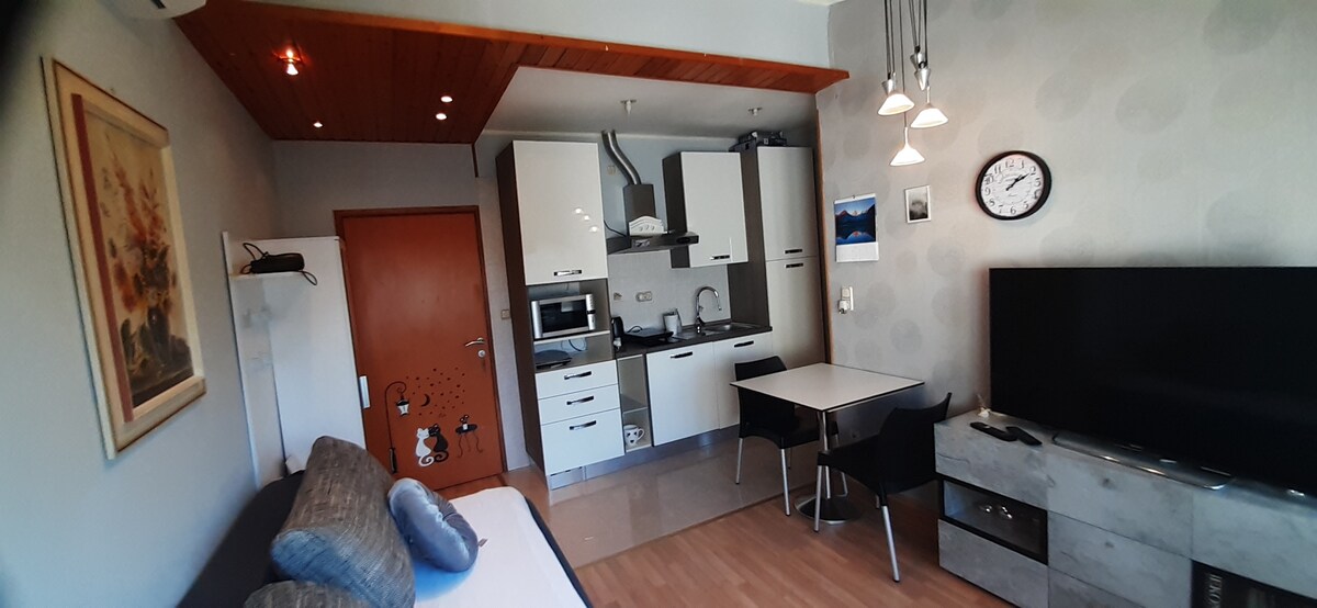 A compact living space features a kitchen area with modern appliances, including a microwave and stovetop. A dining table for four is positioned near the wall, while a comfortable sofa is visible. A large television is mounted beside a wall clock, enhancing the functional layout.