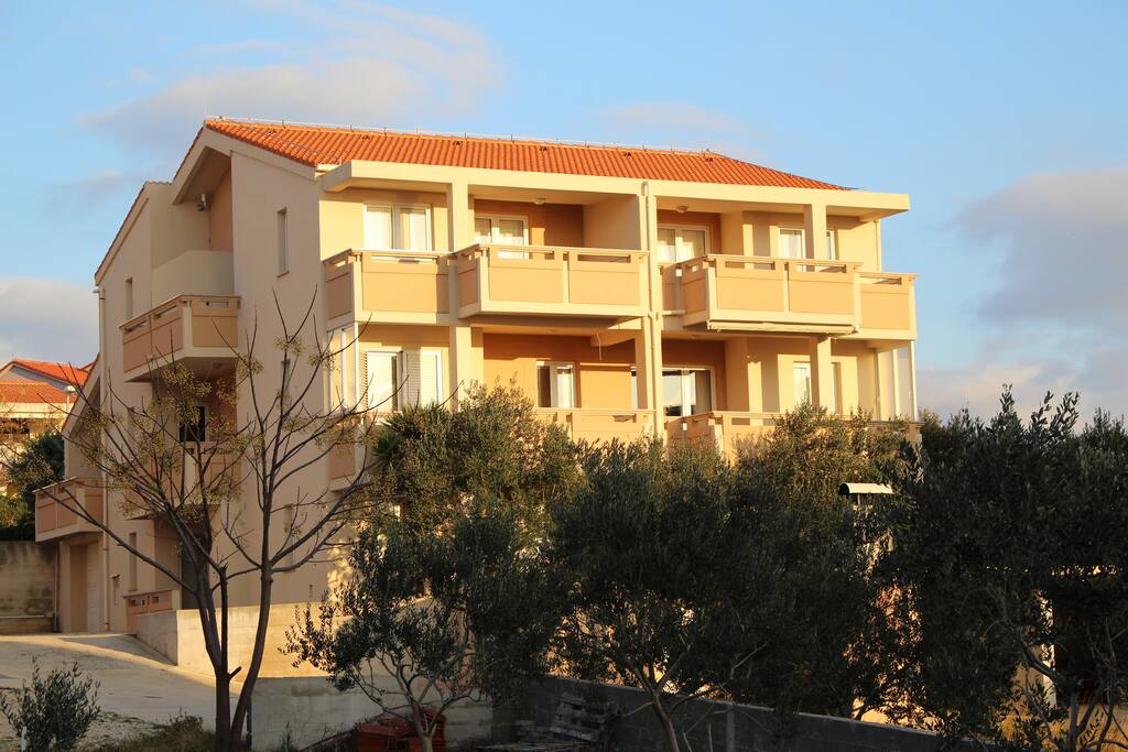 Exterior of the building surrounded by beautiful olive trees.