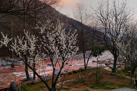 The Spring Room on the River Beās at Raison D'Etre