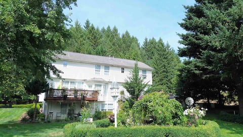 Serene, Private, Basement Apartment