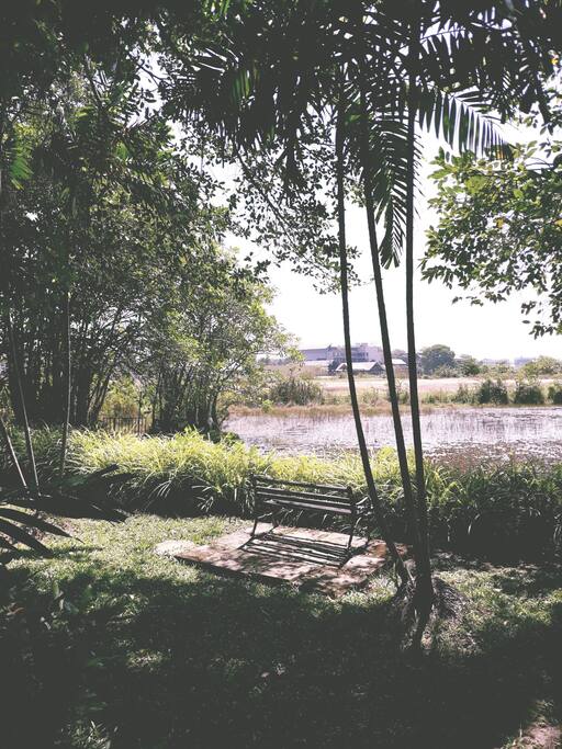 Catch a tan while enjoying the sightings of the local wild birds that visit the pond.