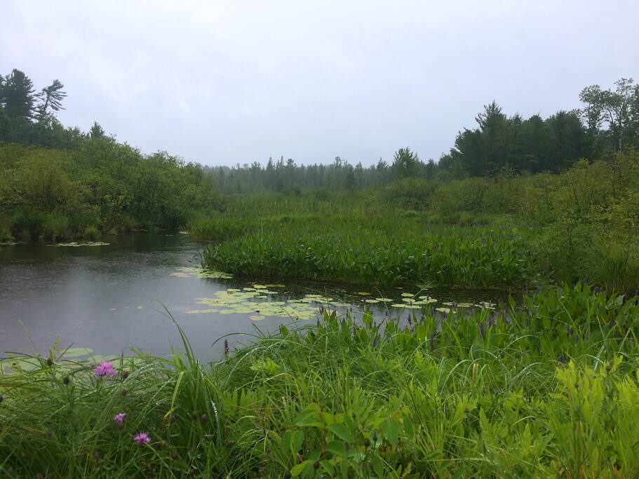 A Variety of Places to Stop and Clear Your Mind.