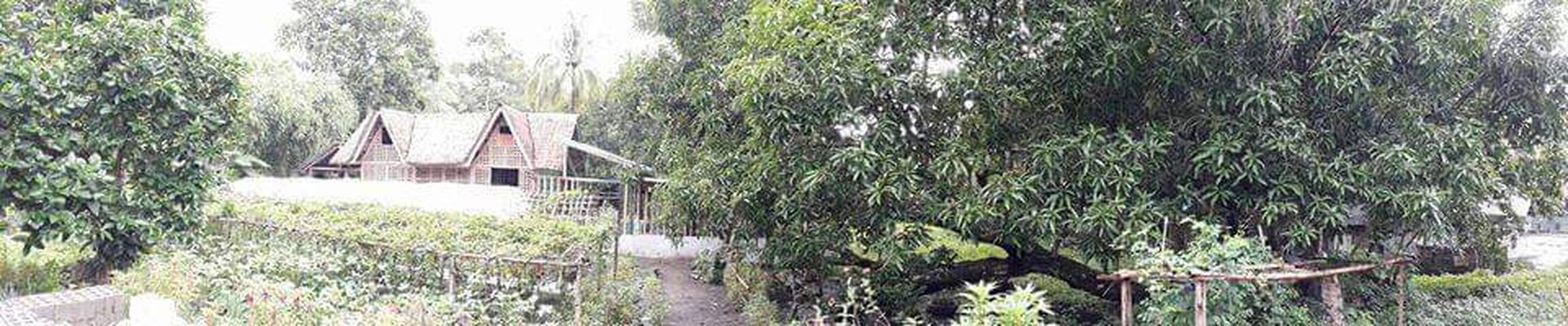 FOC ECO FARM