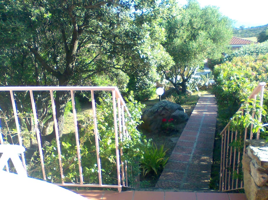 Vialetto e giardino roccioso