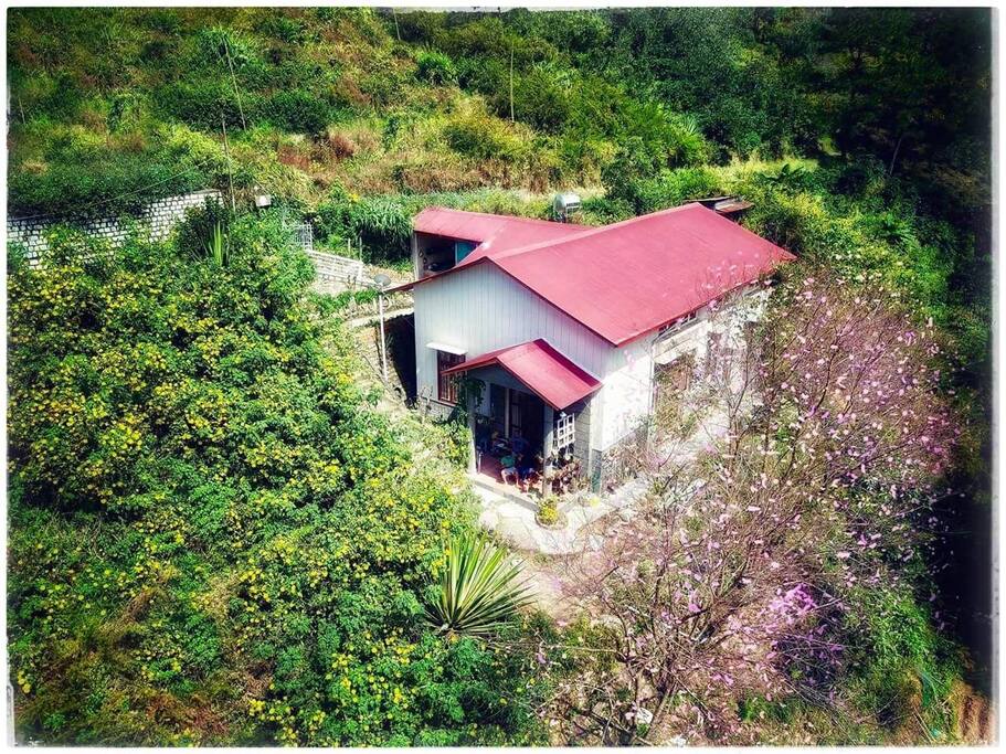 The cozy and spacious house in big garden.
