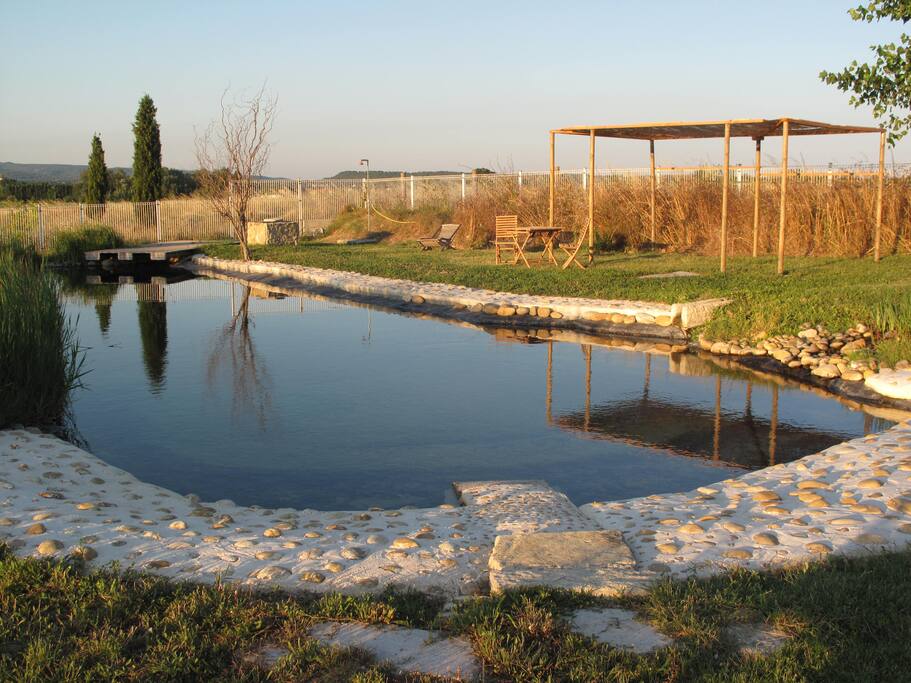 Le bassin naturel baignable
