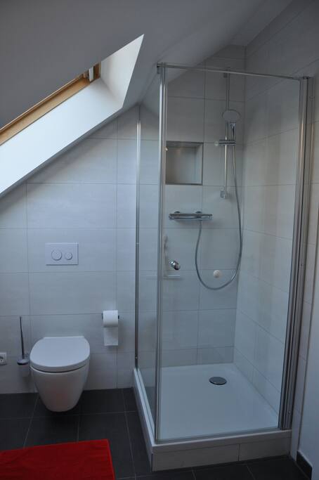 Das Bad mit Dusche und WC