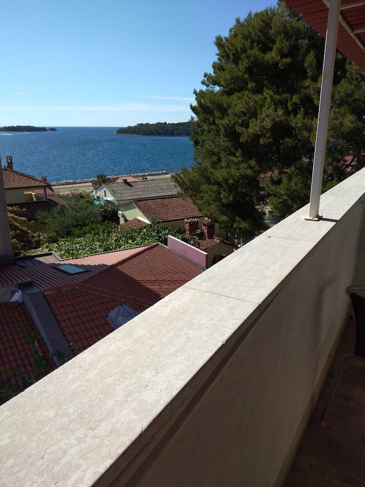 Room With Fab Seaview,6 - Rovinj