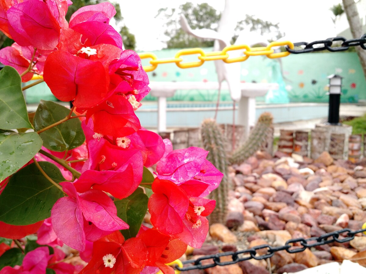 Vibrant pink bougainvillea blooms are seen in the foreground, complemented by a desert cactus nearby. A stone path leads toward a swimming pool in the background, bordered by colorful mural artwork and set against a lush green backdrop.
