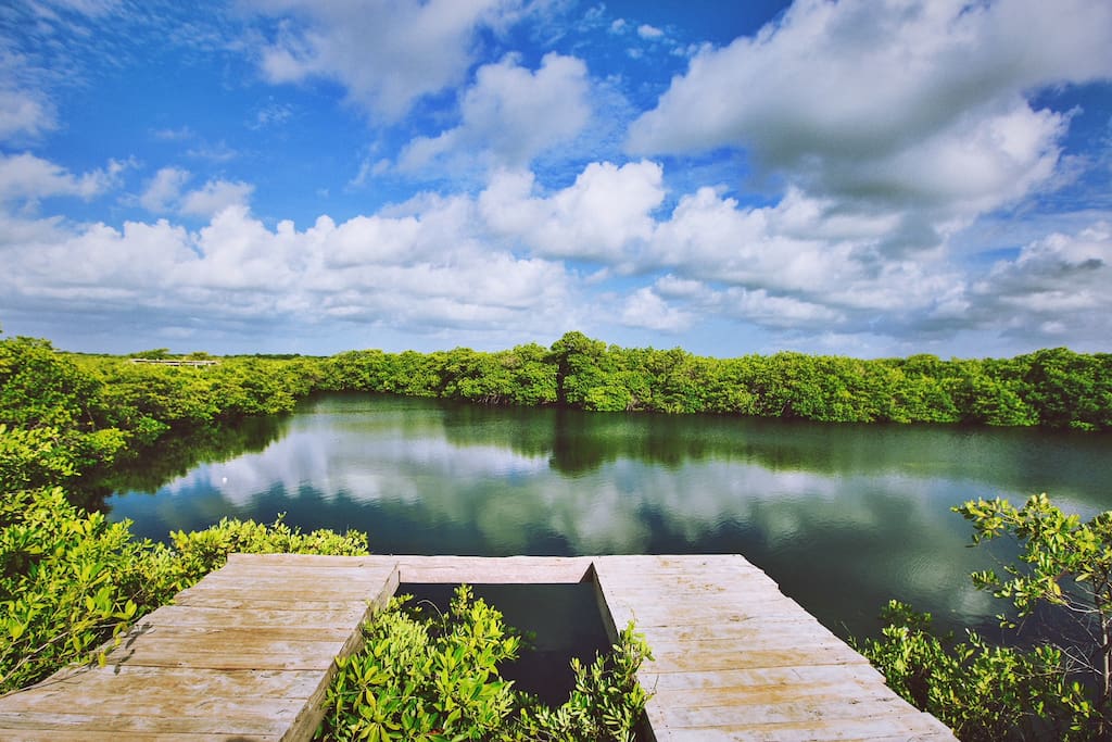 Sun Deck & Cenote