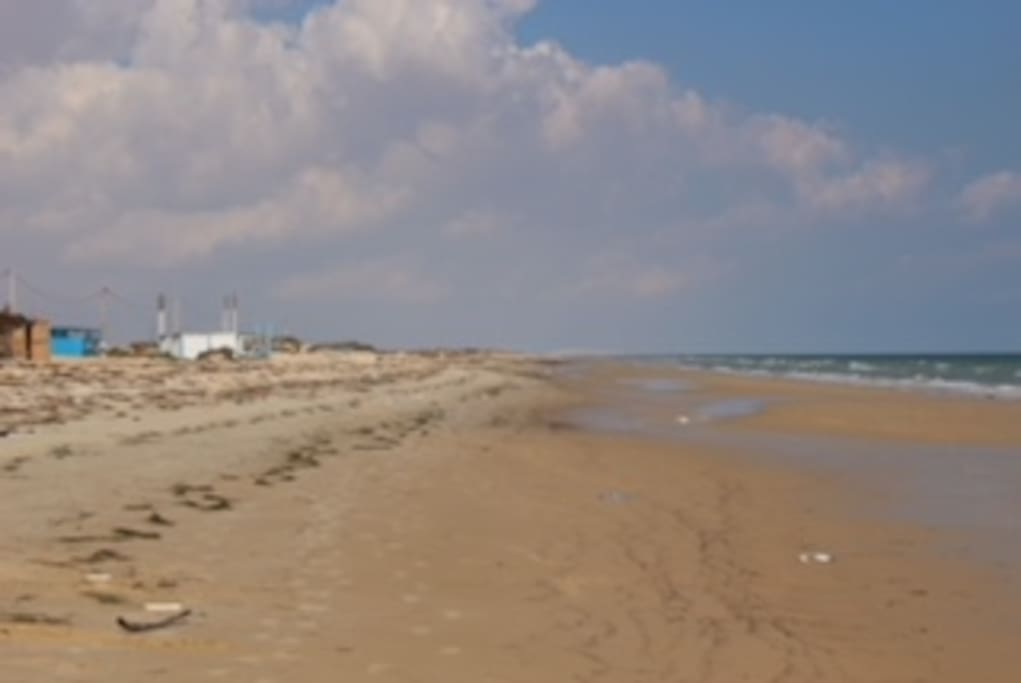 Vu à gauche de la maison