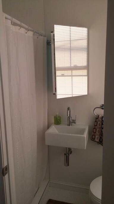 New modern bathroom on main floor, featuring rain shower