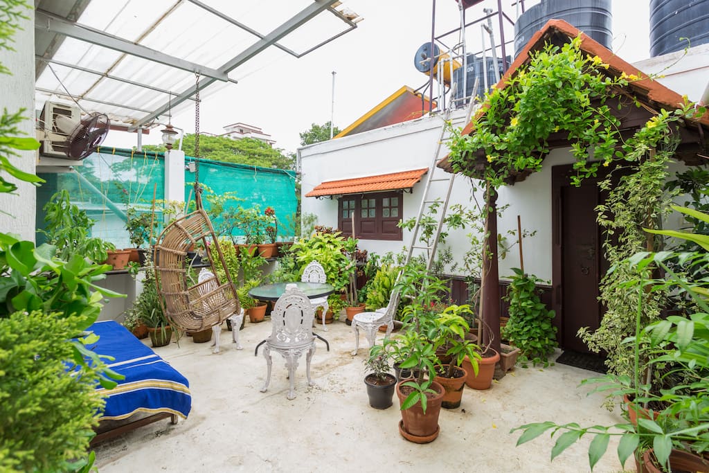 Roof Garden