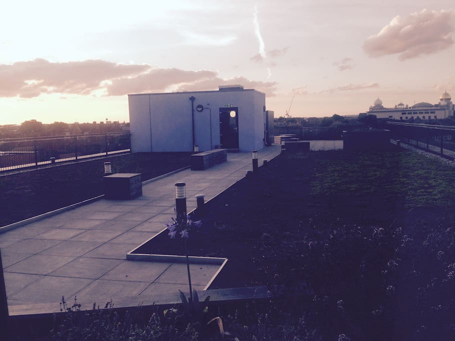 Shared rooftop for the sunset every evening
