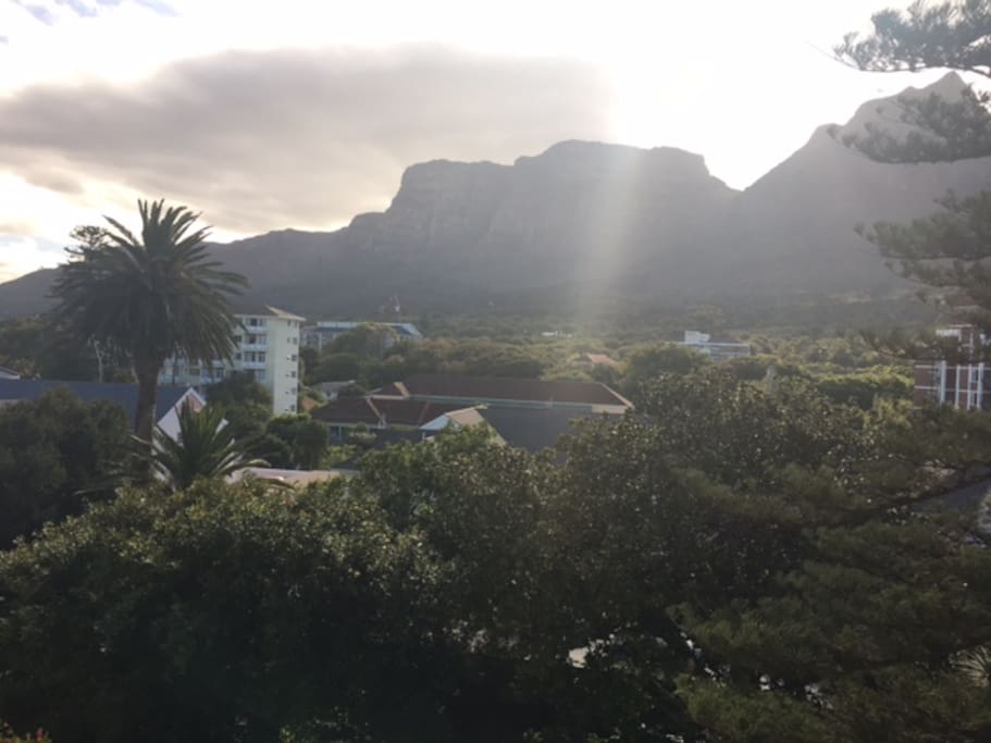 View from Living Room