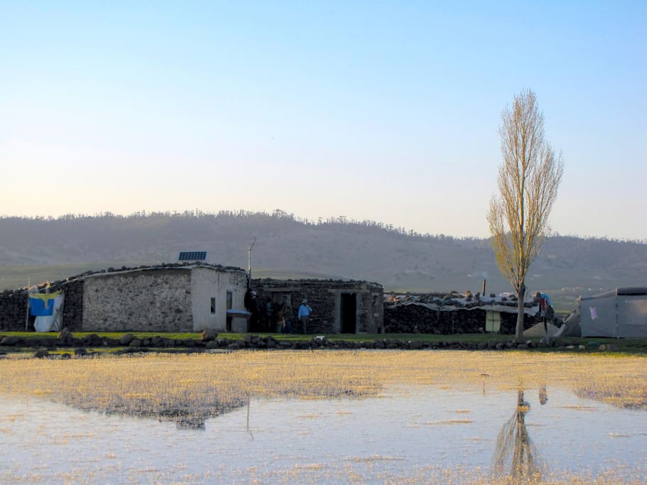 La bergerie de Tasmakt