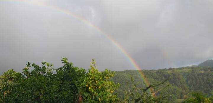Carbet Mountains Vacation Rentals Homes Le Morne Vert Martinique Airbnb Carbet Mountains Vacation Rentals Homes Le Morne Vert Martinique Airbnb