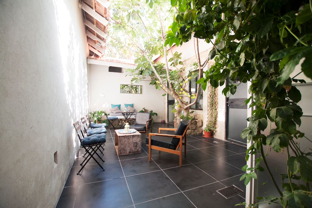 Patio and his charming fig tree (30m²)