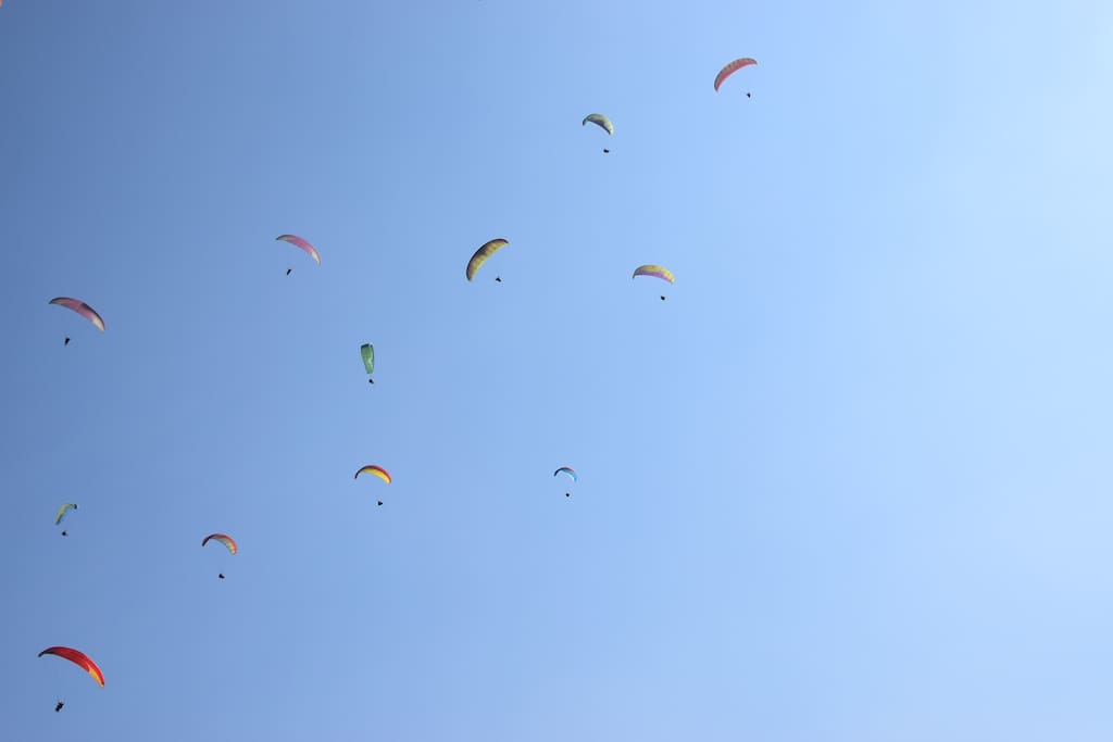 sky views