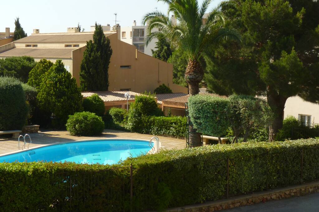 piscine pour le complex (gratuite, maître nageur)