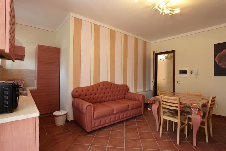 Agriturismo La Regina- Appartamento Rosa - Pisa