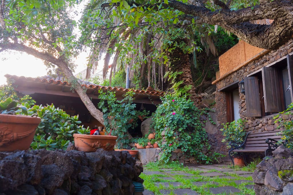 the yard & the big patio