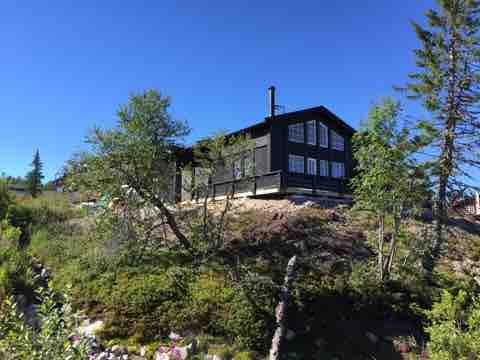 A freestanding cabin is situated on a hillside, surrounded by lush greenery and scattered rocks. Large windows provide ample natural light, while a chimney adds a rustic element. The clear blue sky enhances the cabin’s inviting exterior.
