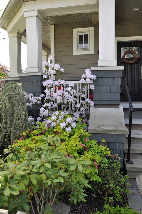 Spring Blooms in garden