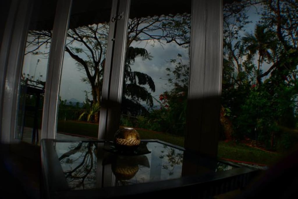 View of the Garden