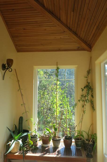Entry room: Full of plants, windows, and arched ceilings.