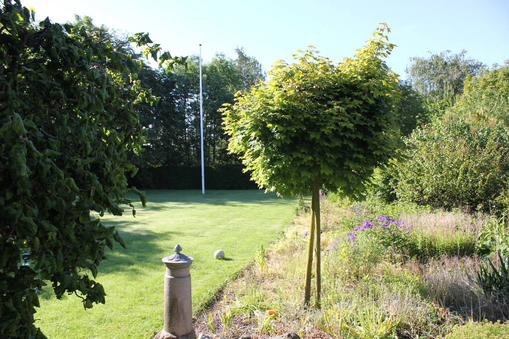 Lots of space in the garden