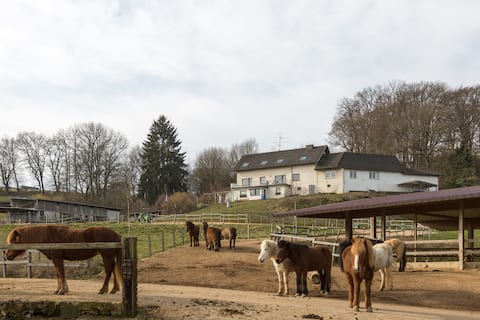 Troll-Hof bis 6 Personen mitten in der Natur