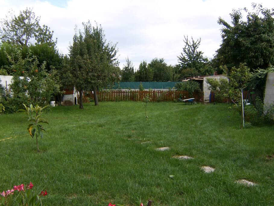 Jardin avec terrasse, arbres fruitiers, potager