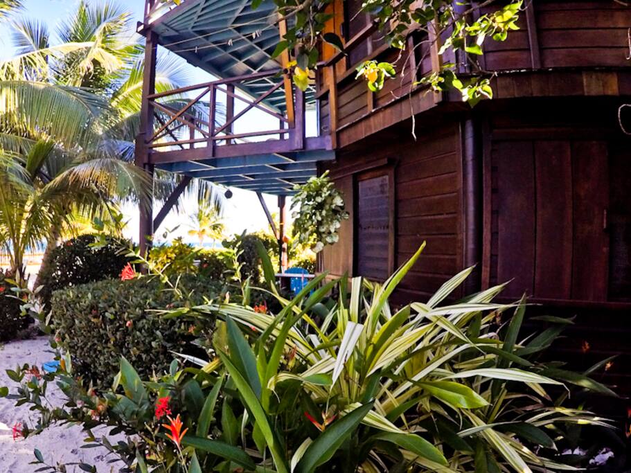 the garden