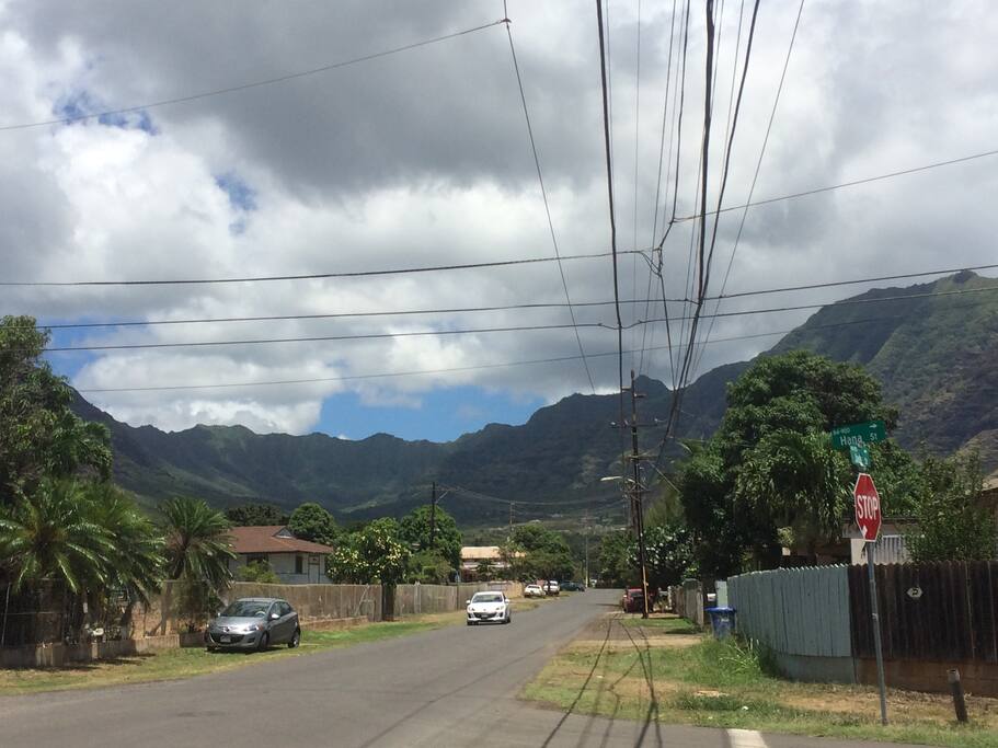 The neighborhood.