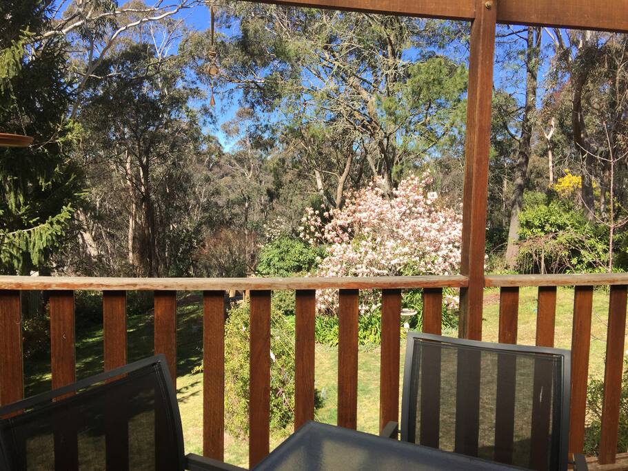 View From Outdoor Entertaining Area/Deck