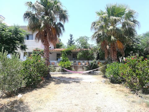 Olive Tree Farm House Sea View