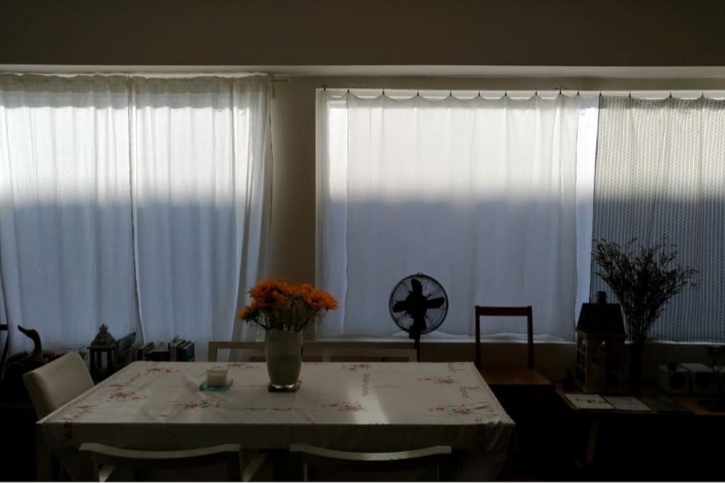 早晨,太陽漸漸把整個客廳點亮,是最魔幻的時光。
Sun rising is the most magical moment in our tranquil living room.