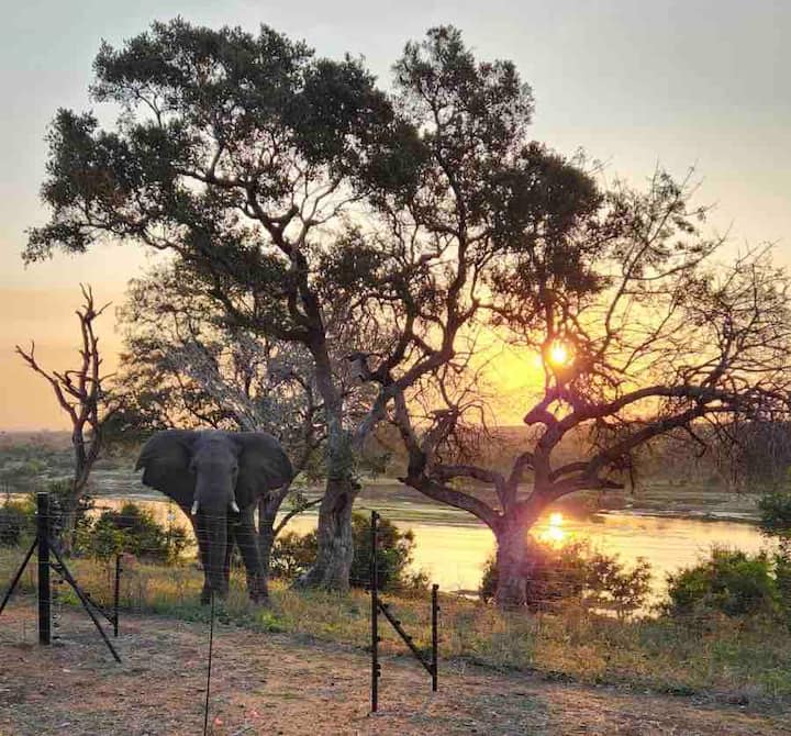 luxury safari lodges in mpumalanga