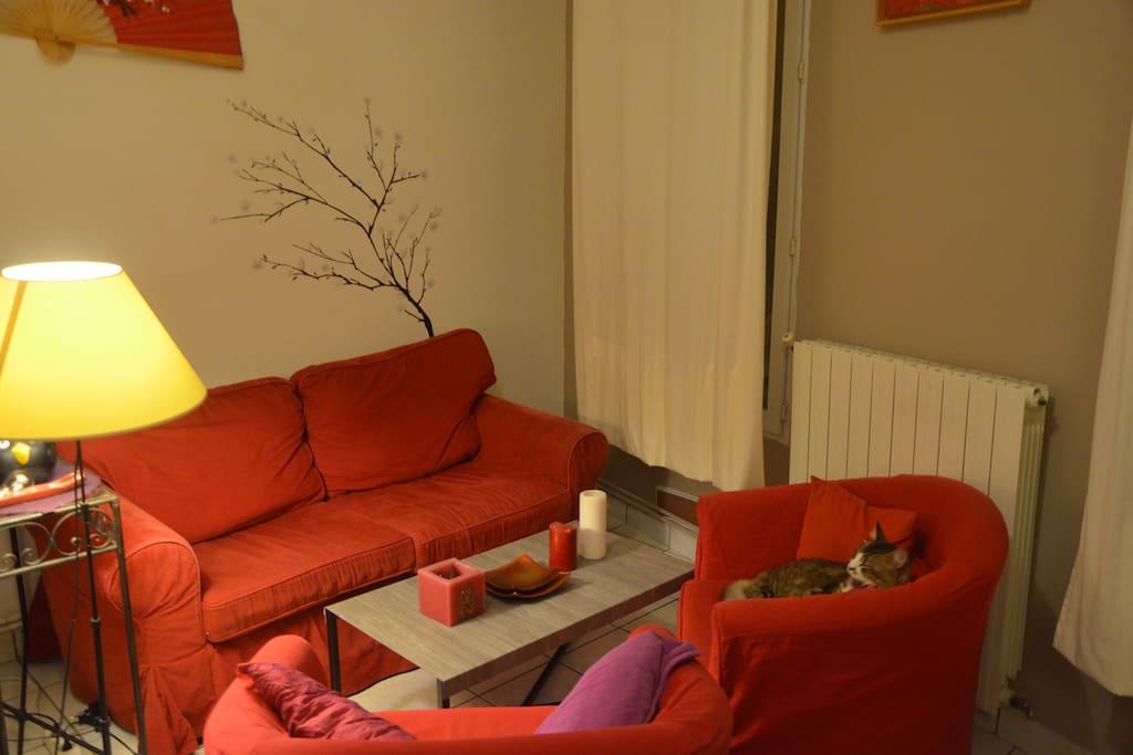 Salon / Lounge
+ Max le chat
