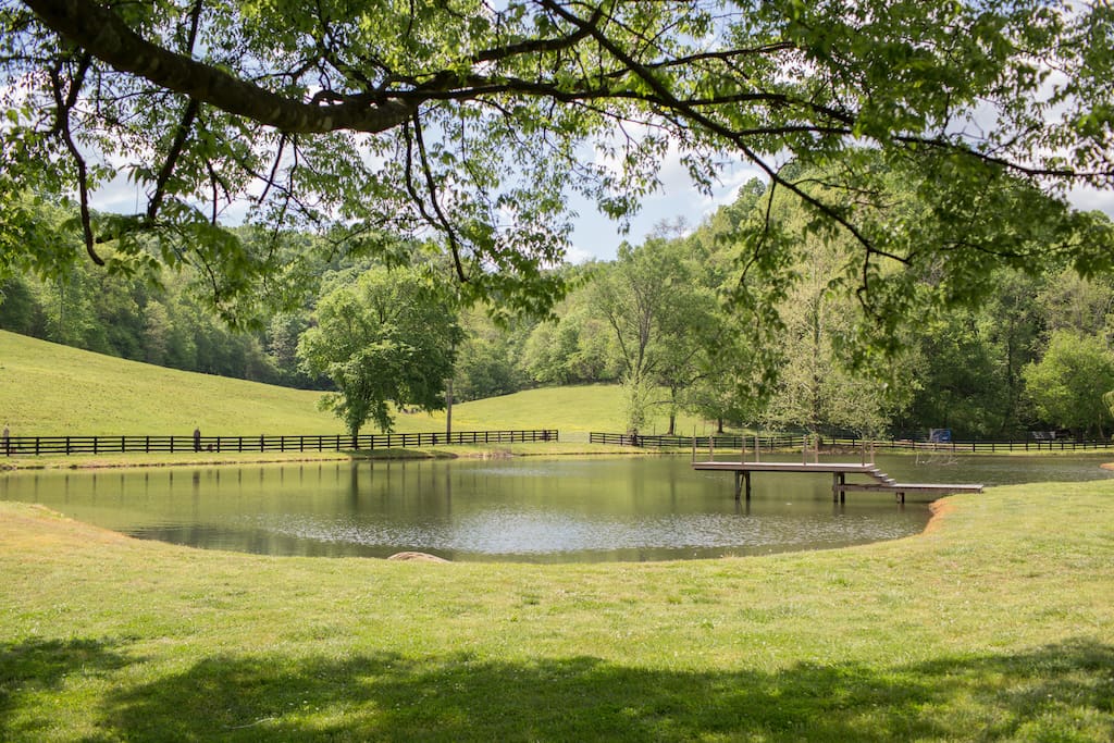 The view of the pond from the deck