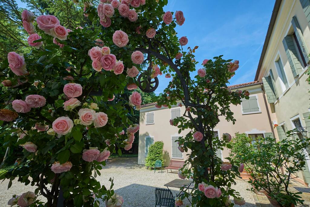 Perfect for romantic week