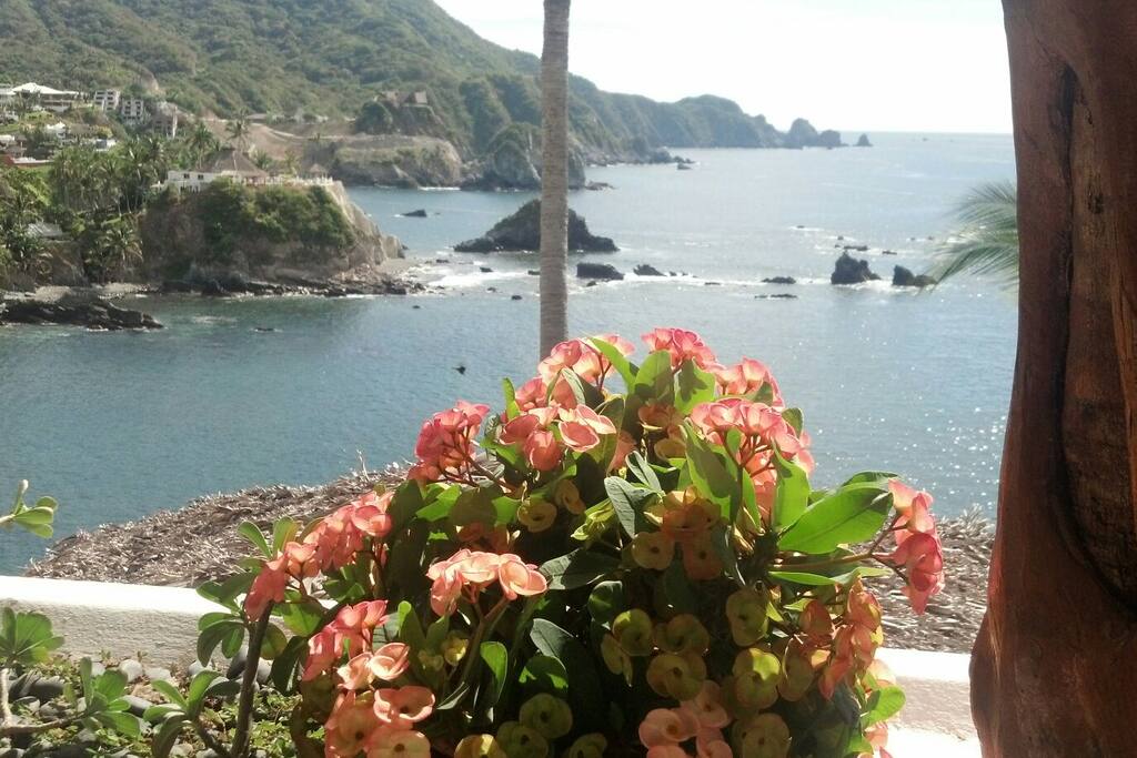 Upstairs terrace view