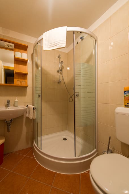 Classic Room Bathroom