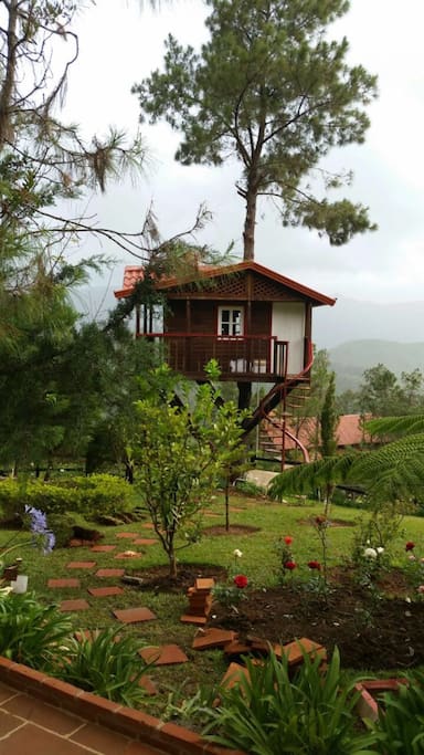 casita del Arbol para los mas pequenos de la casa