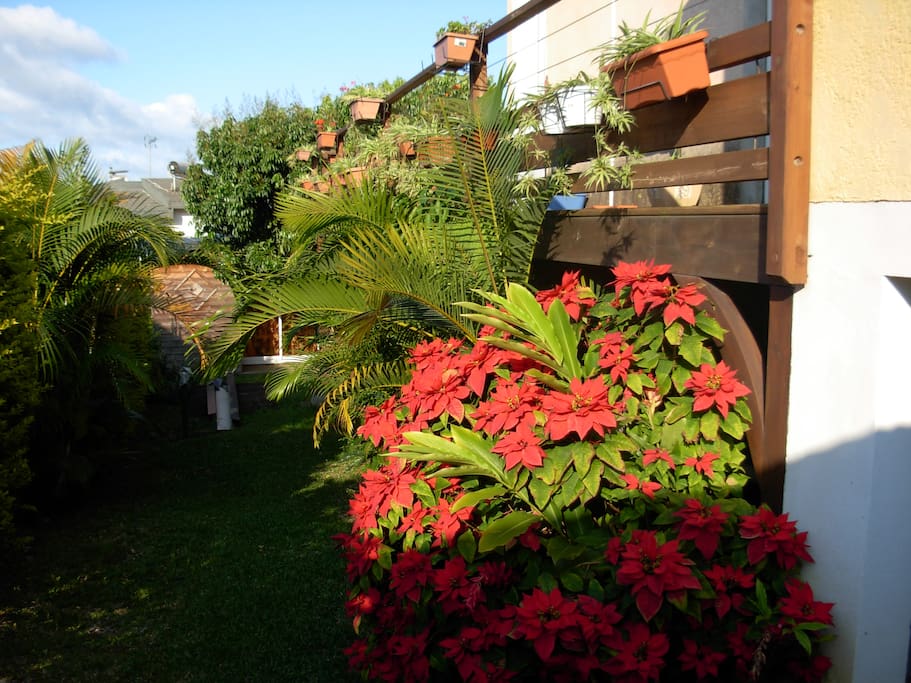 jardin fleuri