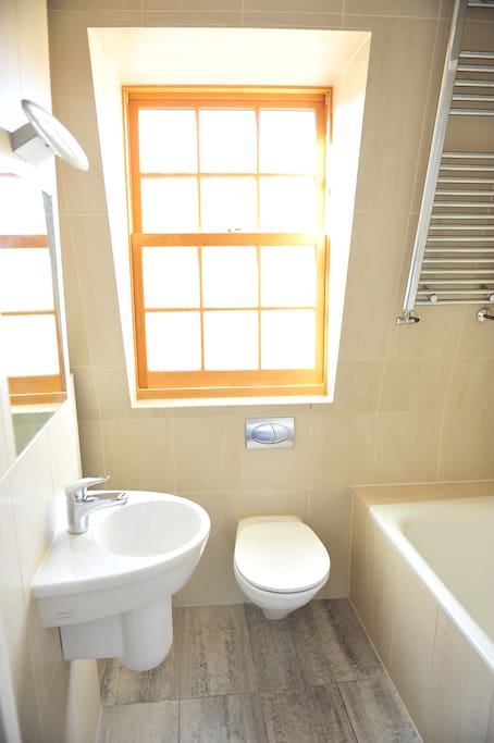 Toilet and basin