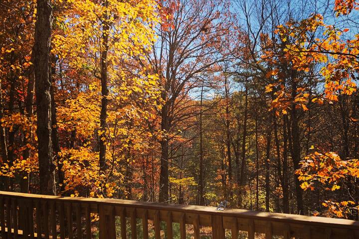 High View Hideaway A Cozy Lost River Cabin Cabins For Rent In
