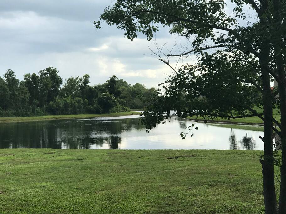 Pond behind house