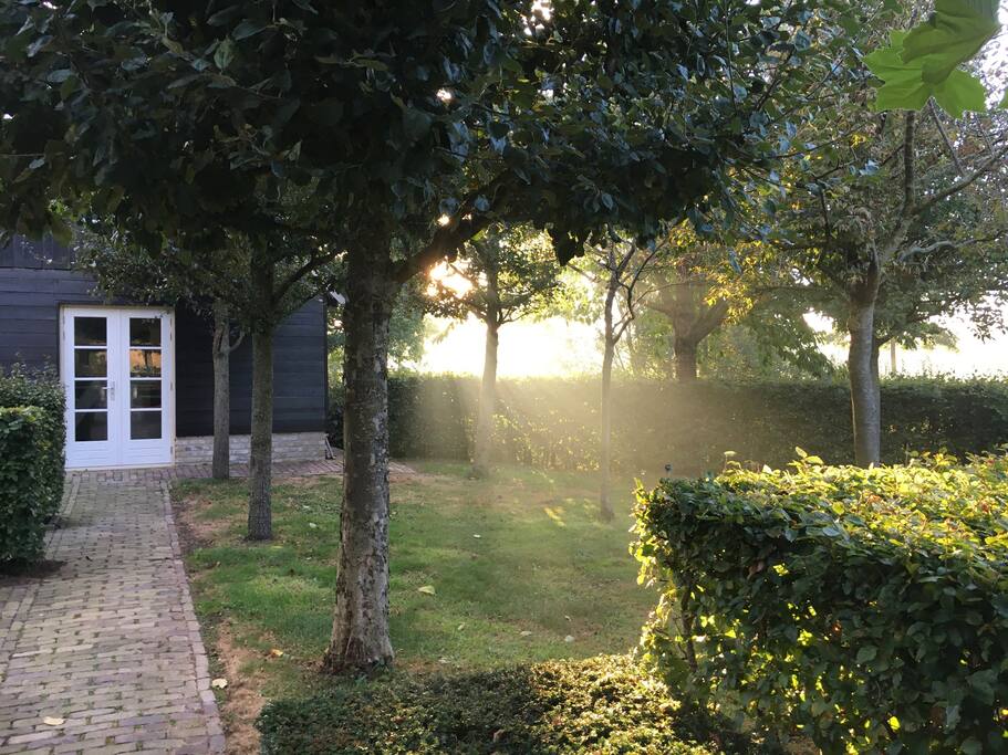 Je loopt zó de tuin met fruitbomen in